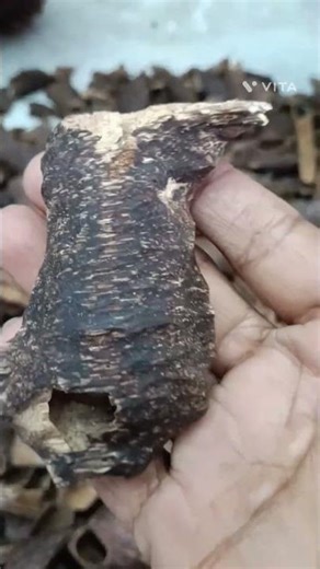 খুব ভালো মাল কার লাগে #reels #viralvideo