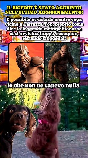 La domanda è: Perché? 🤔 #shorts #fortnite