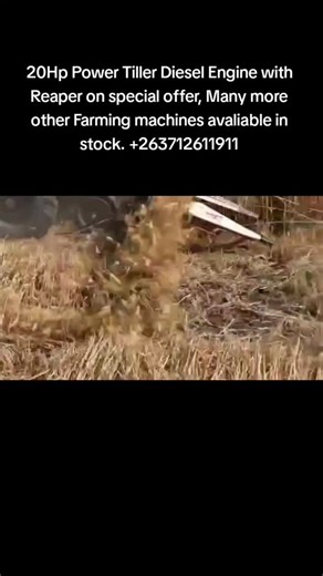 Farming Tractors and Implements in stock in Harare. Contact wa.me/ 263712611911 . #zimbabwe #farming #tractor #agriculture #reaper #harvester #tractorvideos #farmingvideos #powertiller #forsale #discount #fyp #instagood #instagramreels #marketplace #farmer #plough #planter | Tractor Provider Zimbabwe