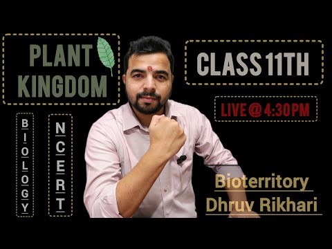 THE PLANT KINGDOM | CLASS 11 | BIOLOGY |BOTANY | LIVE LECTURE FOR BOARD EXAMS AND NEET EXAM