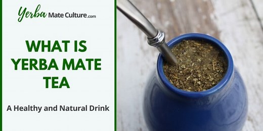 What is Yerba Mate Tea: A Refreshing, Healthy and Natural Drink!