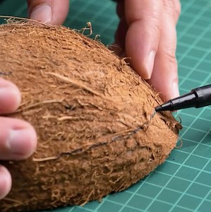 316K views · 864 reactions | Unlocking Coconut's Full Potential for DIY Crafts | 5-Minute Crafts Men | Facebook