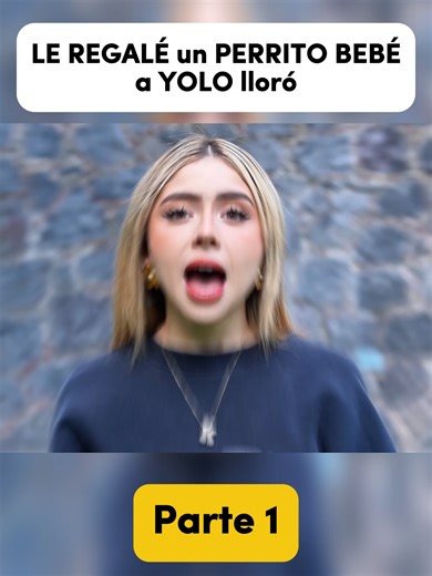 LE REGALÉ un PERRITO BEBÉ a YOLO *lloró* #fyp #mexico #YOLOAVENTURAS #yoloaventurass