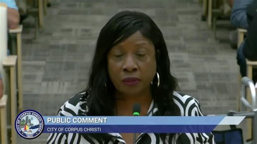 CC City Council Public Comment - Tina Butler | Haystack News