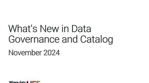 2024年11月数据治理与目录的新功能