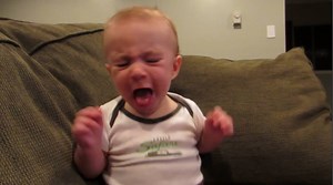 3.6M views · 24K reactions | Babies eating lemons for the first time is the best thing on the internet. | Insider Entertainment | Facebook