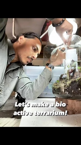 @urban_botanica_collective Create the right environment for plants and animals it becomes a beautiful mutualistic relationship. This is classed as a vivarium as we have animals in the terrarium and the only difference between this and a standard terrarium is occasionally once per week you need to put in some blanched cucumber or organic leaf matter. I really enjoy being out in nature but I also love having these eco spheres at home so I can watch nature do what it does best… thrive! 🌿✨