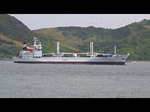 東洋冷蔵｢TUNA PRINCESS｣