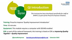 PTI INTRODUCTION TO QI Training 2024 v9