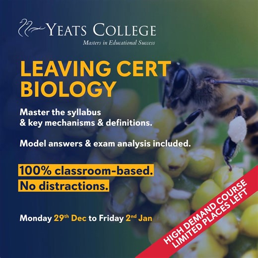 1.6K views | Stop feeling overwhelmed by the Biology syllabus. Our Christmas Revision Course is designed to give you certainty, not just notes. We provide a strategic solution to content volume by offering expert model answers and focused exam analysis of the full syllabus. Join our distraction-free classroom environment and gain the structure and confidence needed to master every mandatory topic before the new year. | Yeats College | Facebook
