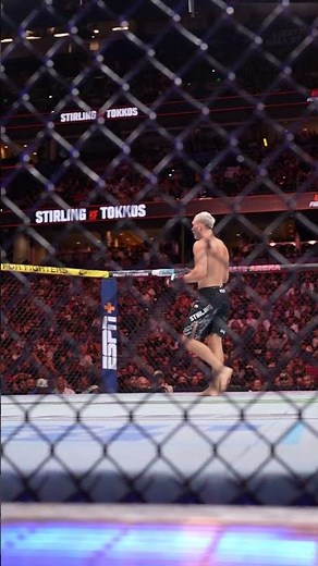 Navajo Stirling wins his UFC debut! 📣 #ufctampa