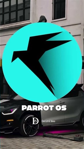 Top 4 Best Operating Systems for Ethical Hacking & Cyber Security