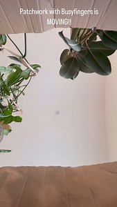 Come with me while I unpack our MEGA Mystery Bundle 👀📦 Busyfingers is on the move, and that means one thing… MASSIVE fabric clearance! Because let’s be honest, who actually wants to move a whole warehouse? 🙃 60 metres of fabric, yes, SIXTY for just $279 ✨ Plus surprise goodies: patterns, ribbon, buttons, trim, stationery, flatter spray, precuts, templates more! 🎁 Worth over $1,900 in total! The catch? It’s a true mystery, you won’t know exactly what’s inside until it lands on your doorstep. 