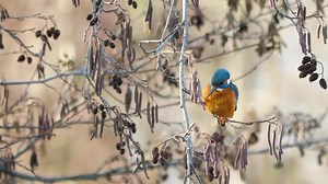 Fisher, Lake, Boat, Ocean, Sea