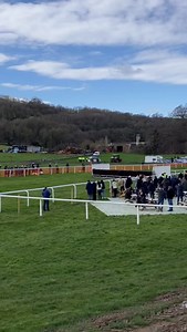 Less than 2 weeks to go until Point to Pointing in the Northern Area is back! 🏇 | Northern Area Point To Point