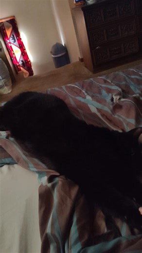 Here he goes 😂 | Deanna Delis