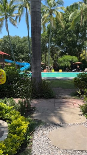 Tu fin de semana te está esperando en el paraíso! 🌴🏊‍♀️ Sumérgete en la diversión en Balneario Santa Isabel Desde áreas de descanso bajo las palmeras hasta pozas cristalinas, tenemos todo para un día perfecto ¡Agenda tu visita hoy! | Balneario Santa Isabel