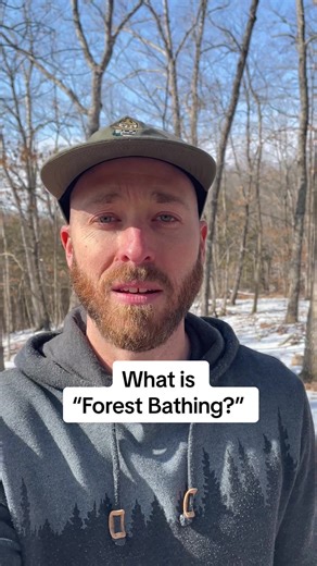 Discover Forest Bathing: The Art of Shinrin-Yoku