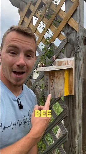 3 Ways to Attract More Bees and Pollinators to Your Garden 🐝 🦋