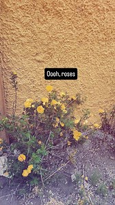 14 reactions | Too much #heyrhondalynn #imrhondalynn #reunion #summerfestontherio | Rhonda Mouser | Facebook