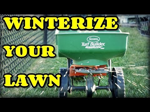 How When and Why To Winterize Your Lawn