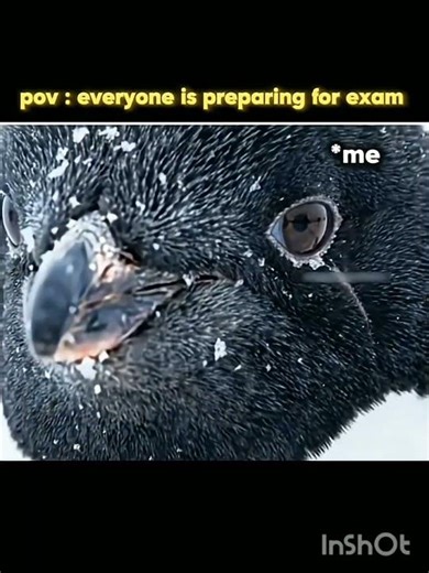 pov: everyone is preparing for exam #upsc#upscmotivation #upscexam #studyiq