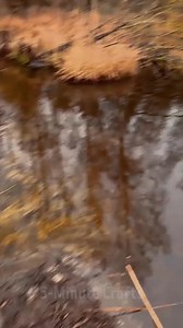 Wow 🧨 How to remove a beaver dam and clean a water drain🦫💥 Not a single beaver was hurt 💫 | 5-Minute Crafts