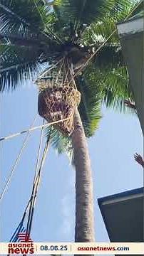 കോഴിക്കോട് ചാത്തമംഗലത്ത് തെങ്ങിൽകയറി കുടുങ്ങിയാളെ രക്ഷപ്പെടുത്തി