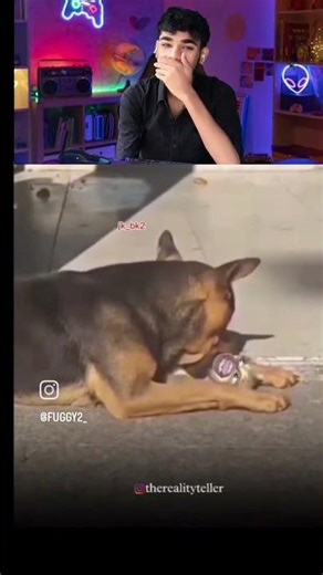 exalted43.gumroad.com/l/wvbbcr?layout=profile&recommended funny 🤣😂(1)