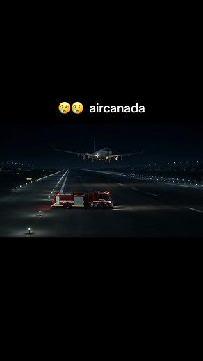 Chachu trump (@chachutrump5)’s video of air canada landing incident