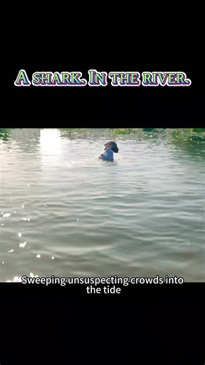 #English #clip #movie #usa | Us clip