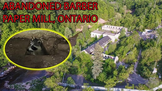 Abandoned: Exploring Abandoned Barber Paper Mill, Georgetown, Ontario