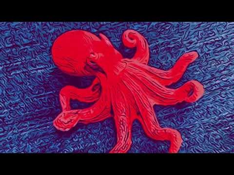 When the Whales Sing