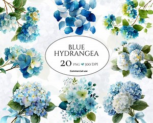 Blue Hydrangea Clipart PNG | Watercolor Floral Frames & Bouquets | Wedding Invitation Flowers | Botanical Illustration - Etsy Australia