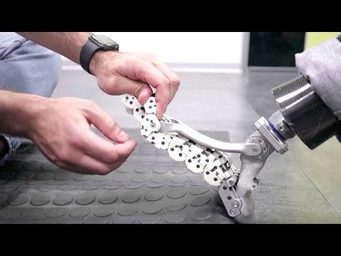 This New ‘Bionic’ Prosthetic Mimics the Foot’s Bones, Ligaments and Muscles