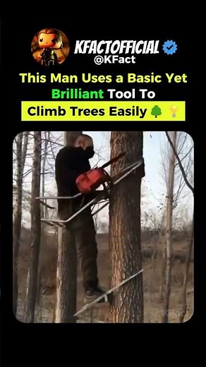 Genius Tree-Climbing Method While Holding a Chainsaw 🌳🧗‍♂️🪚