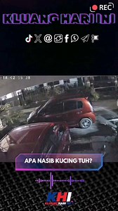4.1K views · 32 reactions | ADUAN ANJING LIAR DI TAMAN INTAN. Cc @MajlisPerbandaranKluang #InfoKluang #KHi | KHI | Facebook