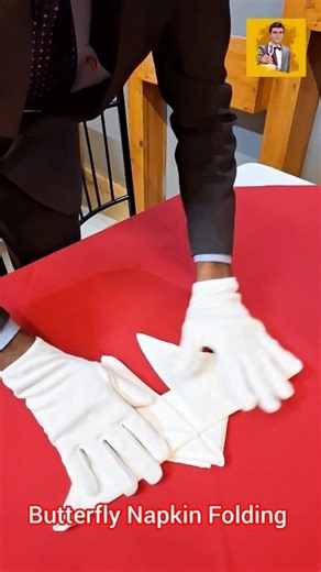 ButterFly Napkin Folding : #hospitalitytraining #waiter #napkinfolding | Service Nexus