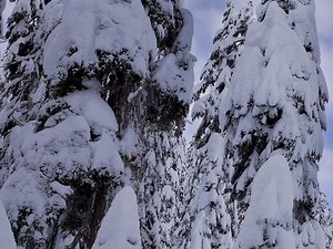 Bigfoot Sighting Reported In PA: Detailed Report Made