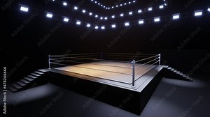 Sports wrestling and boxing. Sport 4K professional background, 3d illustration