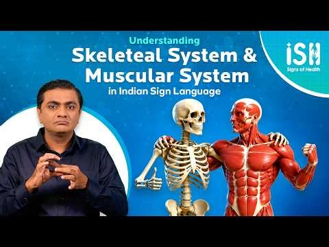 Understanding the Skeletal System and Muscular System | Signs of Health | ISH News