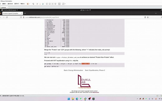 蛋白配体复合物动力学模拟（四）结果的简单分析