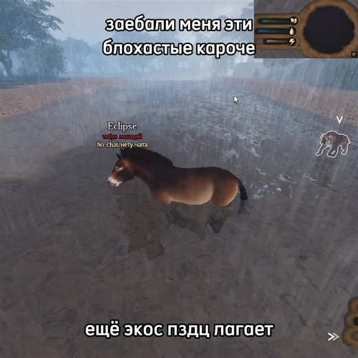 я не могу уже, они либо толпой душат либо косерят. #HELP #saber #cos #ecoslabrea #fyp