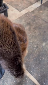 Pretty cool new adventure | Coyote Academy