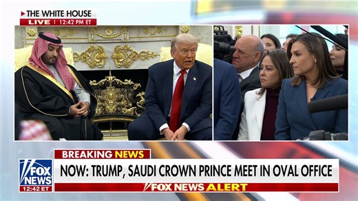 Trump scolds ABC News reporter's questions to Saudi crown prince