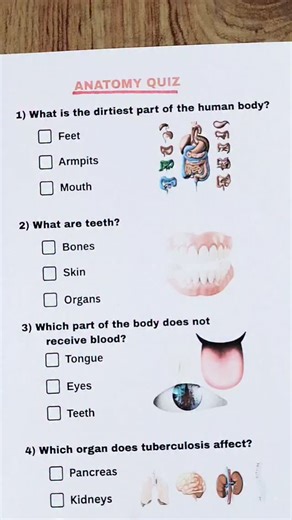Ar_mudassar on Instagram: "Anatomy Quiz - Comment how many did you get? . #anatomy #greysanatomy #quiz #quiztime #trivia"