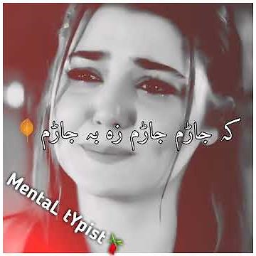 Pashto New tappy🍂 Mental Typist 1🔥