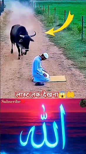 #noticias #duet #humor