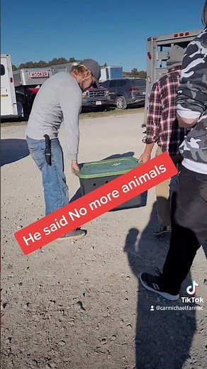 Exotic Animal Auction Day