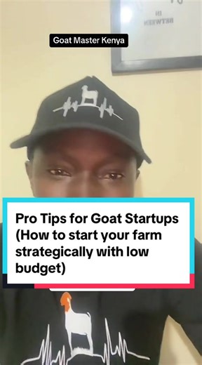 Pro Goat Farming Startup Talks based on experience. #goatfarmingkenya #farmgoats #goatsoftiktok #goats #goatfarmkenya #goat_farming_start #howtostartgoatfarm #goatfarminguganda